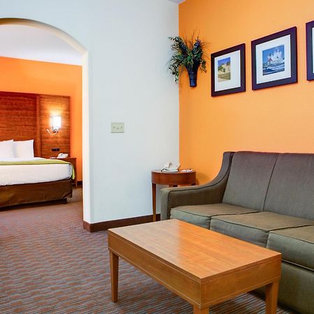 Comfort Suites Stevensville - St Joseph Bilik gambar
